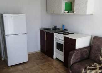 Аренда квартиры студии, 19.3 м2, Новосибирск, улица Виктора Уса, 15, метро Площадь Маркса