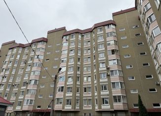 Продаю 2-комнатную квартиру, 62.3 м2, Сертолово, Молодёжная улица, 3к2