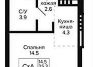 Продаю квартиру студию, 25.3 м2, Новосибирск, Кировский район