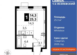 Квартира на продажу студия, 25.3 м2, деревня Румянцево, СНТ Гипрохим, 1Ас1