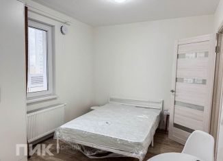 Сдам в аренду квартиру студию, 20.6 м2, Санкт-Петербург, Муринская дорога, 8к4, ЖК Цветной Город