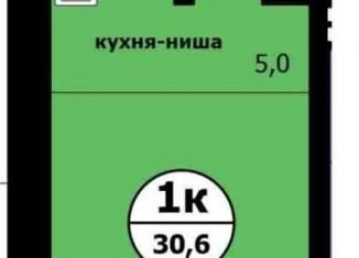 Продажа квартиры студии, 30.6 м2, Красноярский край, Вишнёвая улица