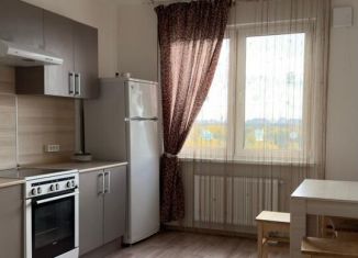 Сдам 2-ком. квартиру, 50 м2, Санкт-Петербург, набережная реки Каменки, 19к3, Приморский район