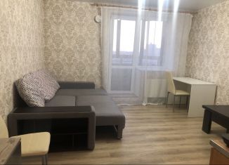 Аренда квартиры студии, 28 м2, Санкт-Петербург, Пулковское шоссе, 40к3, метро Московская