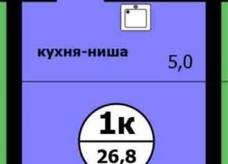 Продам квартиру студию, 26.8 м2, Красноярский край, Вишнёвая улица