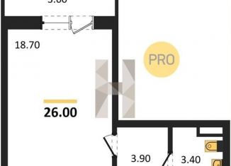 Продажа квартиры студии, 25.7 м2, Новосибирская область, Спортивная улица, 41