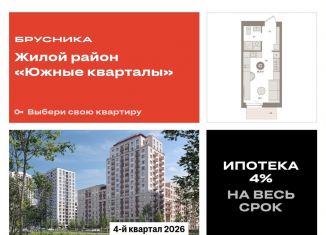 Продажа квартиры студии, 24.2 м2, Екатеринбург, Московская улица, 158