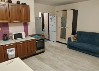 Аренда квартиры студии, 26 м2, Мурино, улица Шувалова, 16/9
