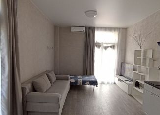 Аренда квартиры студии, 30 м2, Краснодарский край, Кутаисская улица, 1к1