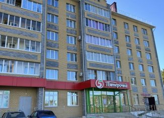 Сдается 1-ком. квартира, 40 м2, Марий Эл, Пионерская улица, 3Б