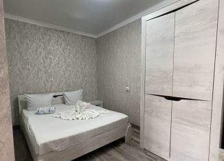 Сдам в аренду дом, 180 м2, Краснодарский край, улица Дарвина, 57/2