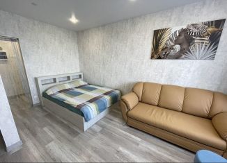 Сдаю в аренду 1-ком. квартиру, 40 м2, Казань, улица Чингиза Айтматова, 9