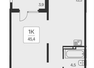 Продается однокомнатная квартира, 45.4 м2, Новосибирская область