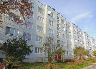 Продажа однокомнатной квартиры, 36.8 м2, деревня Большая Вруда, деревня Большая Вруда, 4