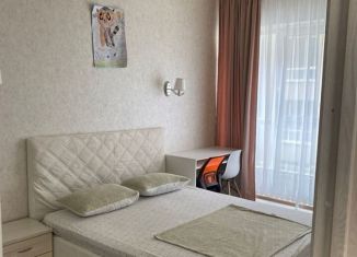 Сдаю 1-ком. квартиру, 45 м2, Сочи, Крымская улица, 89