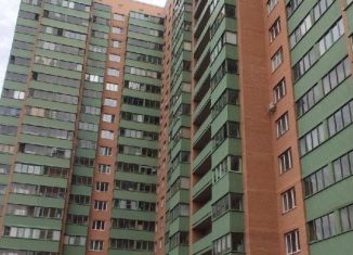 Квартира в аренду студия, 28 м2, посёлок Шушары, Первомайская улица, 5к1, ЖК Шушары