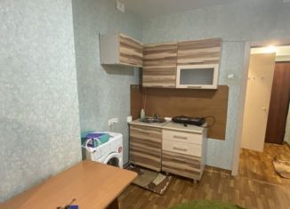 Сдам квартиру студию, 25 м2, Красноярск, улица Вильского, 34, ЖК Серебряный