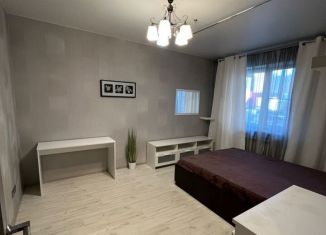 Сдается в аренду 1-ком. квартира, 40 м2, Санкт-Петербург, проспект Королёва, ЖК Каменка