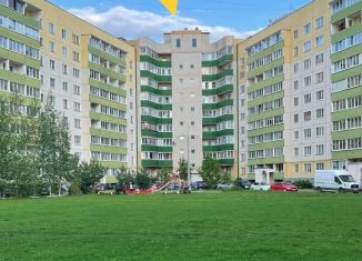 Сдача в аренду 1-ком. квартиры, 40 м2, деревня Родина, Владимирская улица, 1