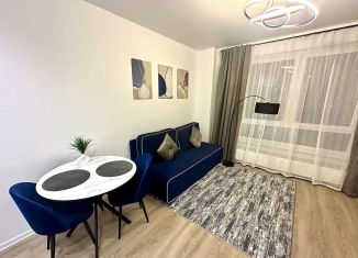 Сдается квартира студия, 23.5 м2, Москва, улица Михайлова, 30Ак2