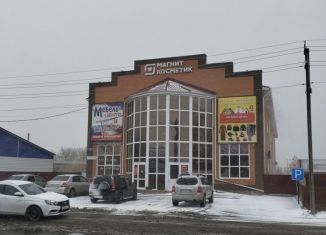 Торговая площадь на продажу, 1400 м2, поселок городского типа Благовещенка, Октябрьская улица, 113