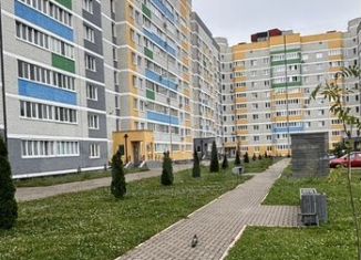 Однокомнатная квартира на продажу, 36 м2, Брянск, улица имени О.Н. Строкина, 6