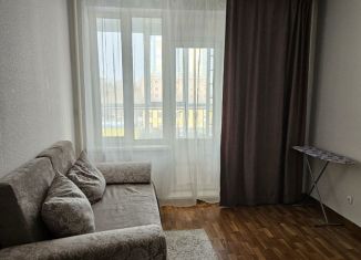 Сдам в аренду квартиру студию, 18 м2, Красноярск, улица Борисова, 42