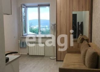 Квартира на продажу студия, 18 м2, Красноярский край, улица Писарева, 19