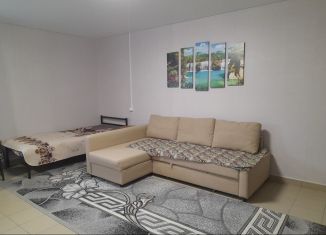 Сдаю в аренду квартиру студию, 30 м2, село Кушнаренково, Красноармейская улица, 70А