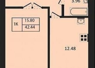 1-ком. квартира на продажу, 42.4 м2, Новосибирск