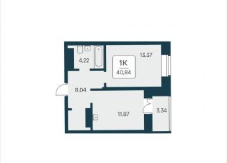 Продаю однокомнатную квартиру, 40.8 м2, Новосибирск, метро Площадь Ленина