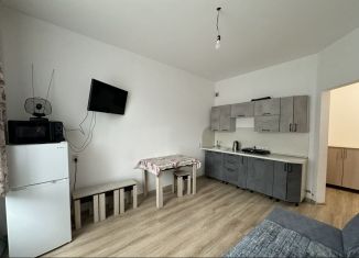 Продажа 1-комнатной квартиры, 32.3 м2, Горно-Алтайск, улица Строителей, 2/2