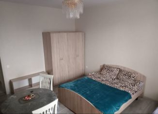 Сдача в аренду 1-ком. квартиры, 60 м2, деревня Дудкино, СНТ Круиз, 245