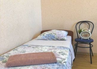 Двухкомнатная квартира в аренду, 55 м2, Пенза, улица Володарского, 17, Ленинский район