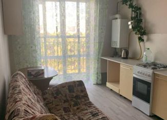 Аренда однокомнатной квартиры, 40 м2, Татарстан, Дорожная улица, 7