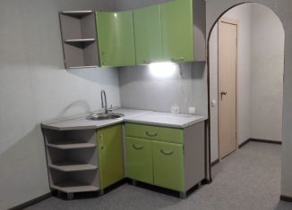 Продам квартиру студию, 18 м2, Пермь, Социалистическая улица