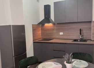 Сдается в аренду 1-ком. квартира, 30 м2, Санкт-Петербург, Муринская дорога, 31к3, метро Академическая