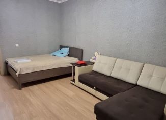 Сдам 1-ком. квартиру, 48 м2, Казань, улица Комиссара Габишева, 45