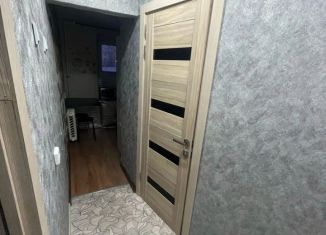 Сдается 2-ком. квартира, 49 м2, Чистополь, Мебельная улица, 18