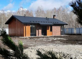 Продаю коттедж, 87 м2, деревня Шмидтово, улица Гагарина