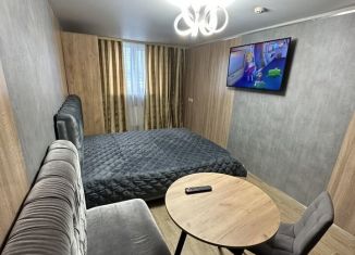 Сдаю квартиру студию, 21 м2, Москва, Автозаводская улица, 23с16