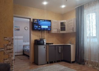 Аренда 1-комнатной квартиры, 30 м2, Междуреченск, Луговая улица, 11