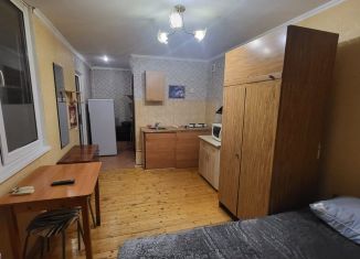 Квартира в аренду студия, 20 м2, Сочи, Горный переулок, 9, микрорайон Центральный