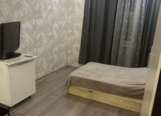 Квартира в аренду студия, 30 м2, Краснодарский край, улица Ленина, 221/6