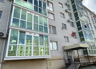 Продам 1-комнатную квартиру, 26.2 м2, Михайловск, улица Ишкова, 93