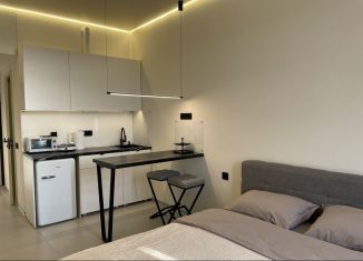 Квартира в аренду студия, 25 м2, Краснодарский край, улица Ленина, 290/7к1