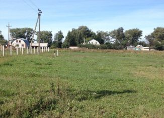 Продается участок, 30 сот., деревня Селиховы Дворы