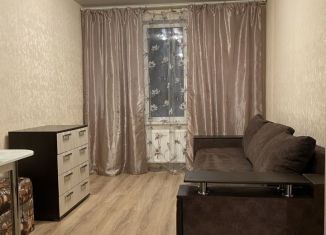 Сдается квартира студия, 24 м2, Мурино, Воронцовский бульвар, ЖК Алфавит