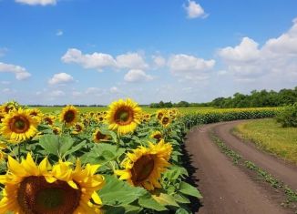 Продажа земельного участка, 1500 сот., село Романово