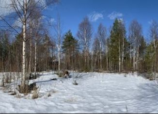 Участок на продажу, 10 сот., садовое товарищество Ильма, 7-я линия